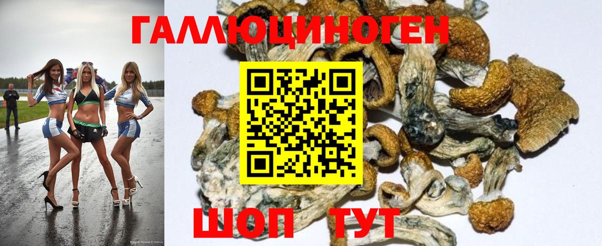 Псилоцибиновые грибы MAGIC MUSHROOMS Богородск